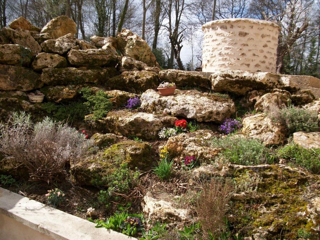 Chambre D'Hote Moulin Du Ru Aulnoy Exterior foto